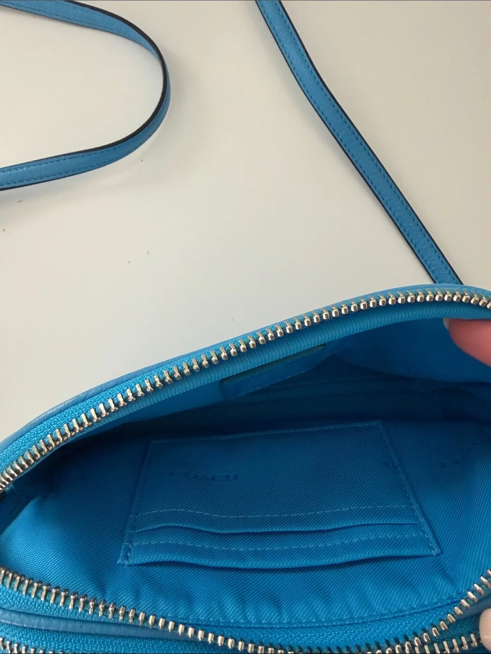 Coach great color